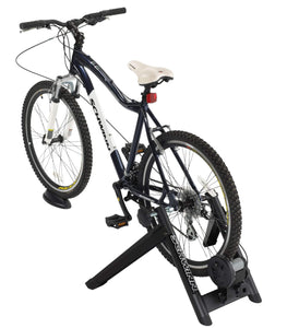 Schwinn deluxe magnetic trainer ￼